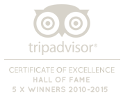 Trip Advisor Certificate of Excellence Winner