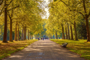 Hyde Park in Autumn