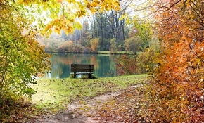 Autumn Break in the City