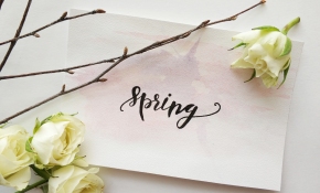 Spring Escape