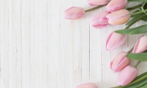 Mothers Day Spa Packages